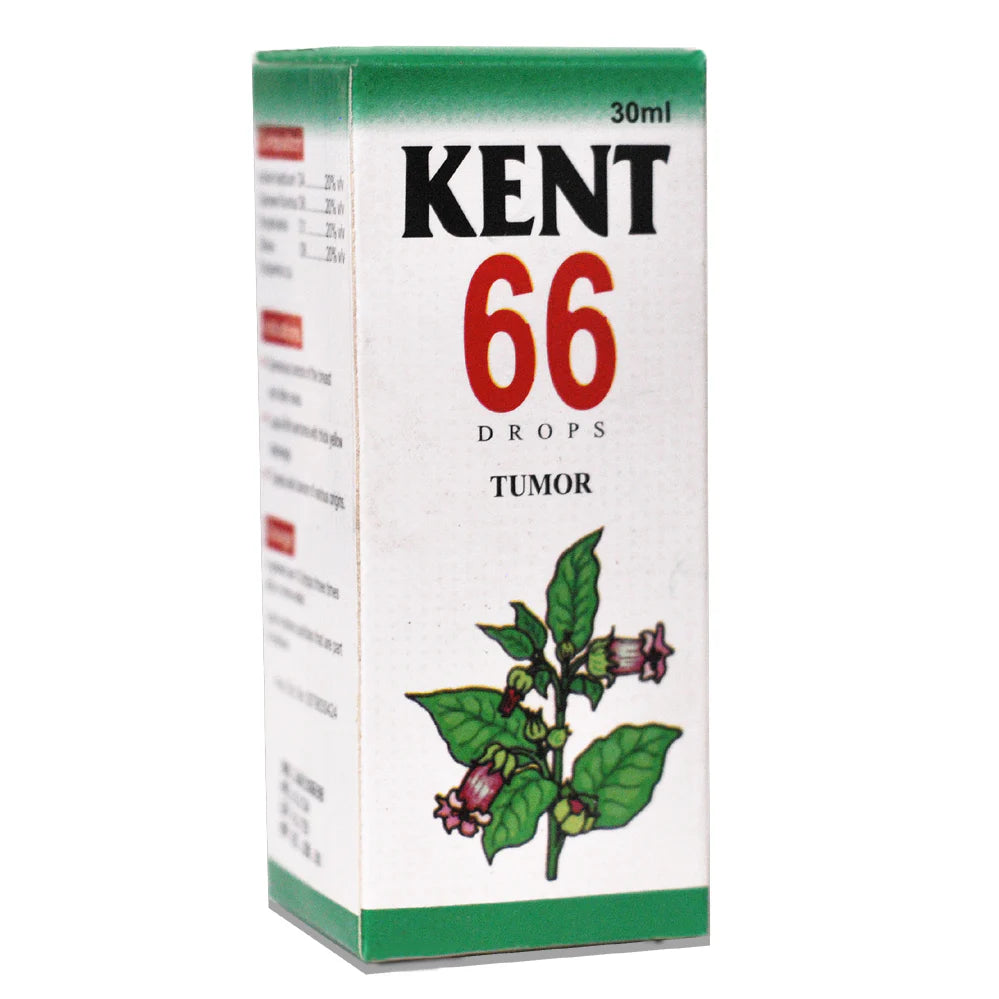 KENT NO.66