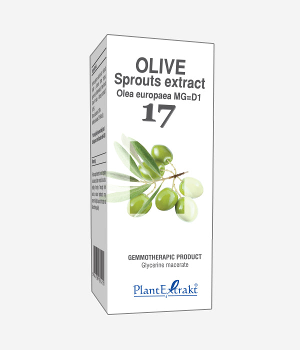 GEMO NO.17 OLEA EUROP