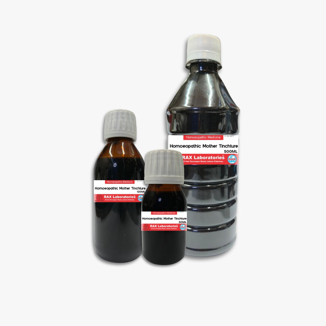 OCIMUM ALB Ø