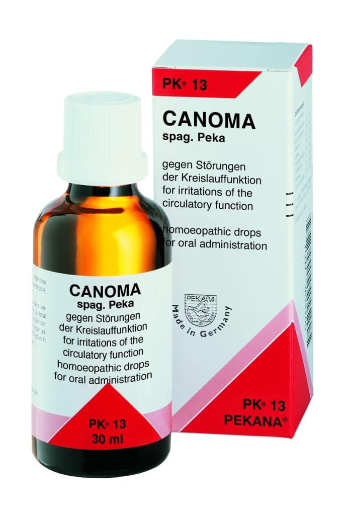 PK.NO.13