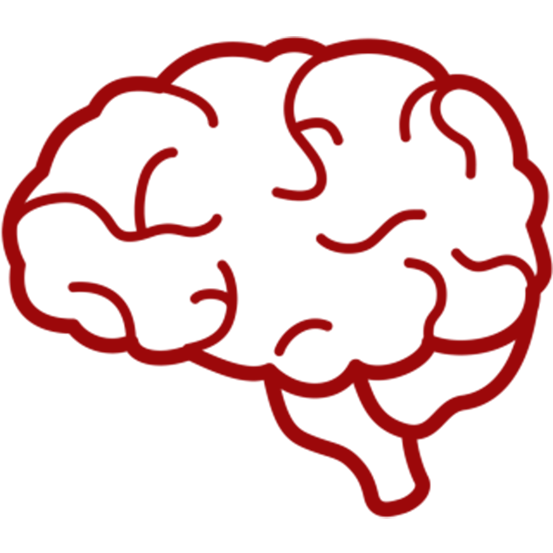 Brain