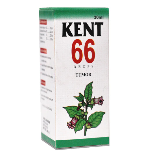 KENT NO.66