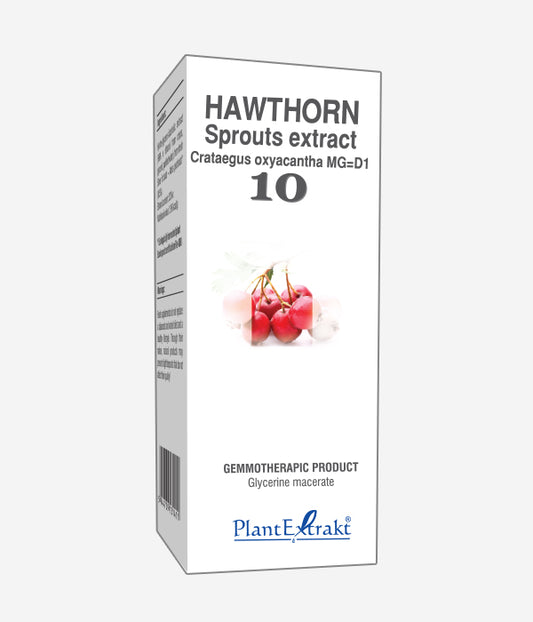 GEMO NO.10 CRATAEGUS OXY