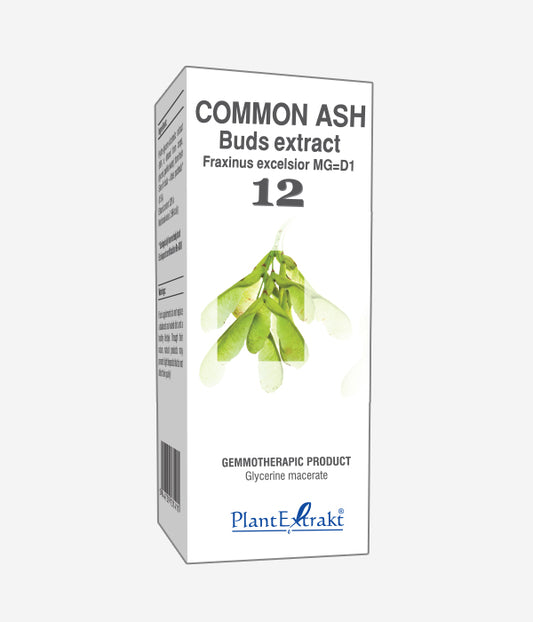 GEMO NO.12 FRAXINUS EXCEL