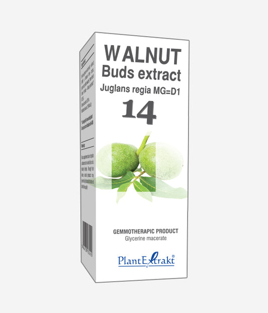 GEMO NO.14 JULGLANS REGIA