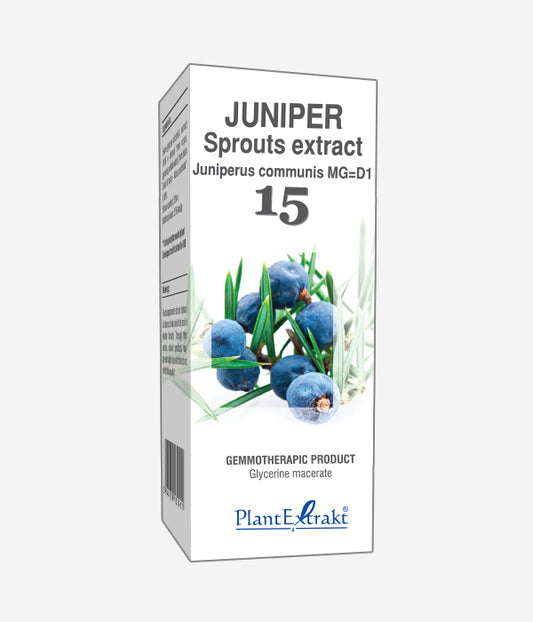 GEMO NO.15 JUNIPERUS COMM