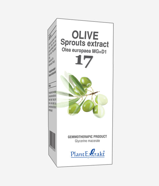 GEMO NO.17 OLEA EUROP