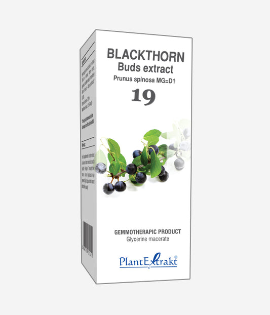 GEMO NO.19 PRUNUS SPIN