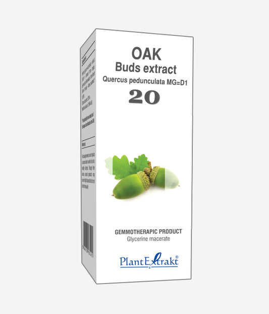 GEMO NO.20 QUERCUS PED