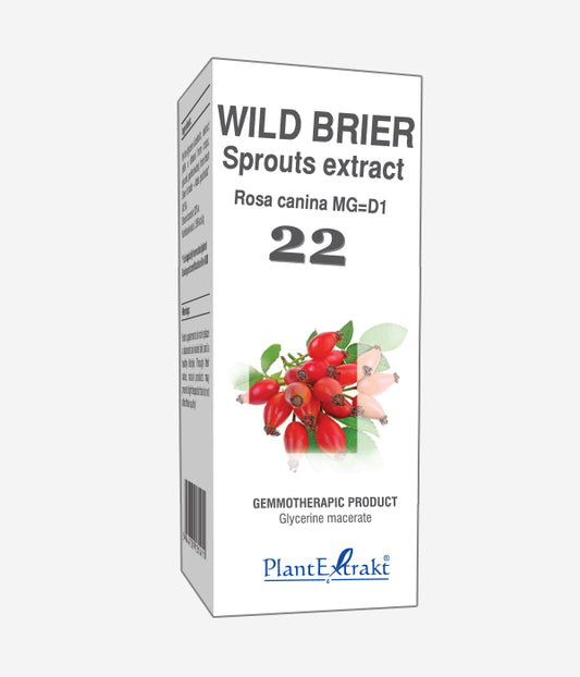 GEMO NO.22 ROSA CANINA