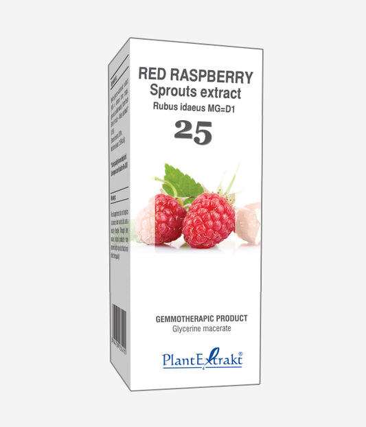 GEMO NO.25 RUBUS IDAEUS