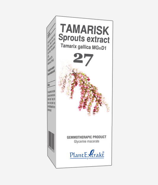 GEMO NO.27 TAMARIX GALLICA