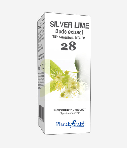 GEMO NO.28 TILIA TOM