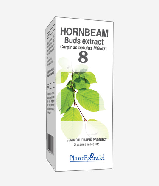 GEMO NO.08 CARPINUS BET