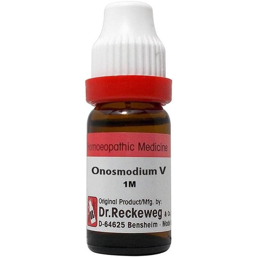 ONOSMODIUM VIRG 1M