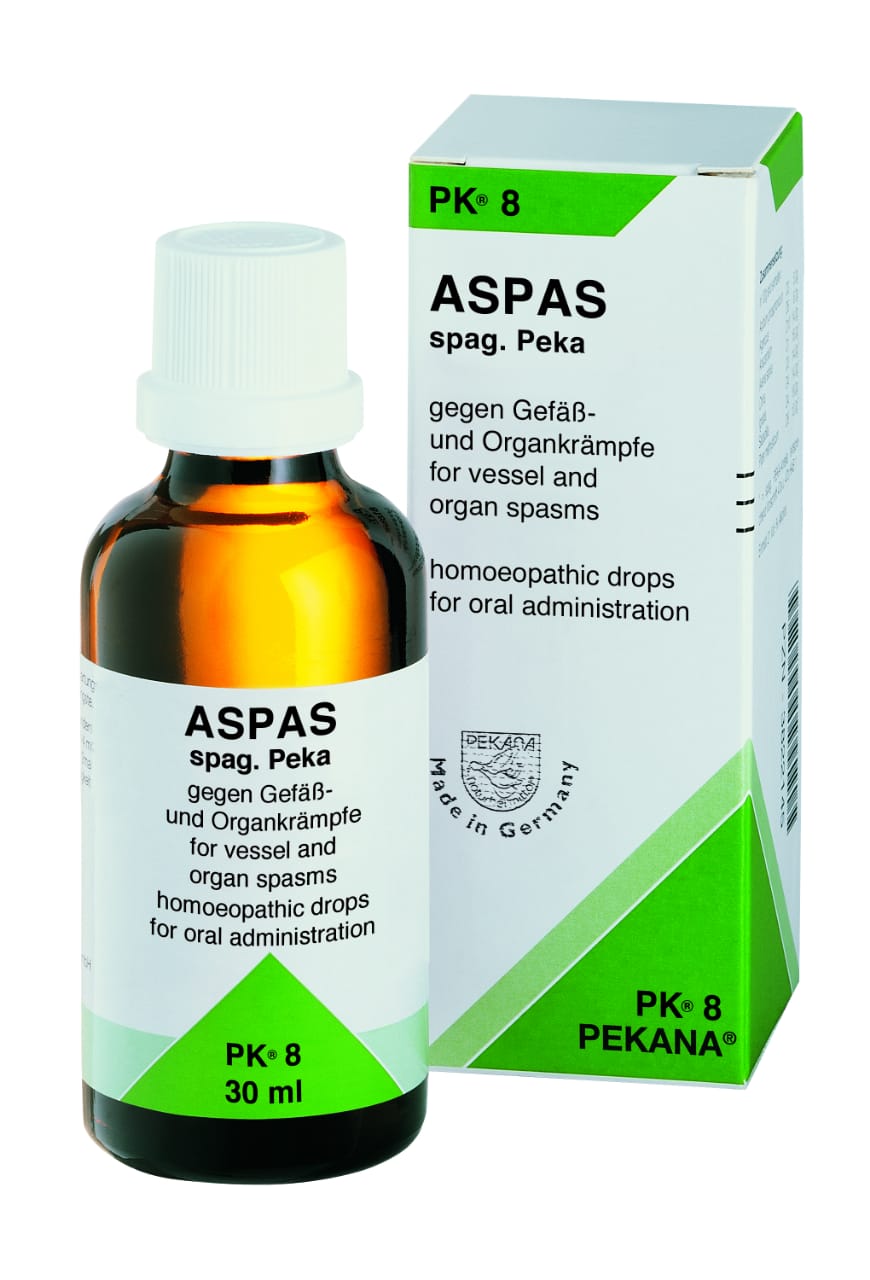 PK.NO.08